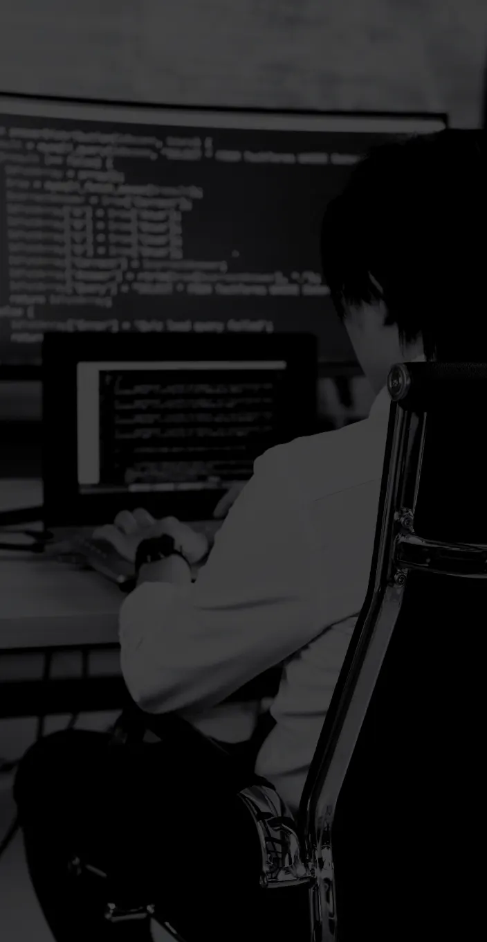 Web development service